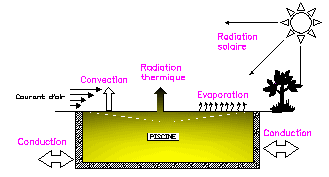 Piscine,conduction,radiation thermique, solaire, courant d'air